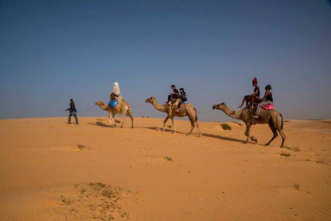 Les Incontournables du Sénégal