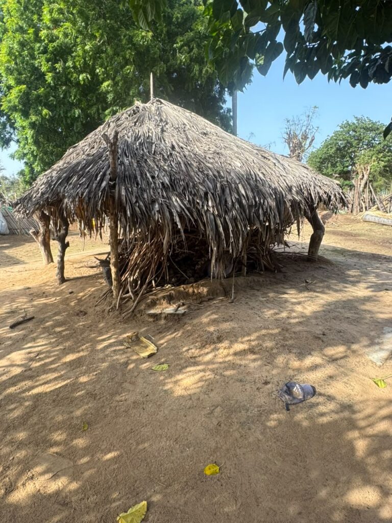 Excursion Villages Typiques  au départ de La Somone et Saly